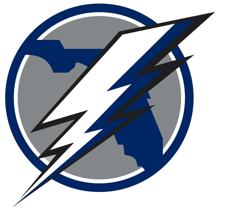 Tampa Bay Lightning 2008 Unused Logo iron on heat transfer